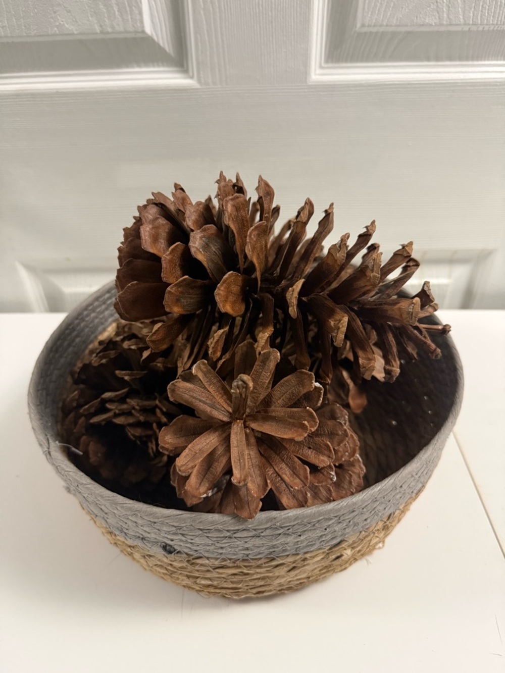 Large Pine Cone Lot of 4